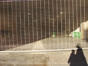 shadow self portrate