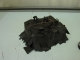 it looks like it could crawl away
