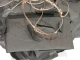 DSC01006.JPG