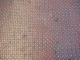 DSC01032.JPG
