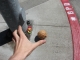 gonna eat it