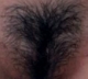 whosemuff.jpg