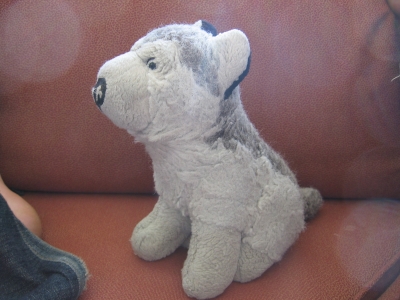 Little Dog!!