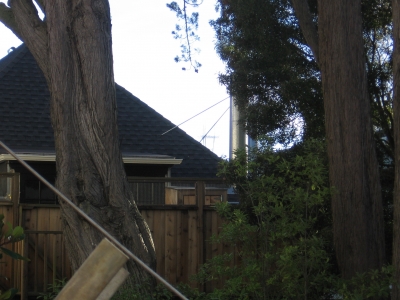 Sutro through the trees...