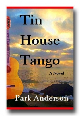 a novel.jpg