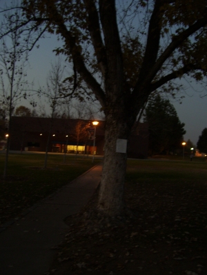 The Letter, on the tree.