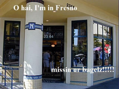 noahsBagels-01.jpg