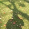 My shadow
