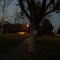 The Letter, on the tree. 