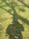 My shadow