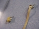 Tacks!