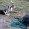 IMG_1046_edited.JPG