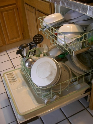 Inside the Dishwasher