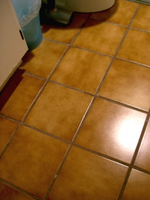 Hair on the Floor