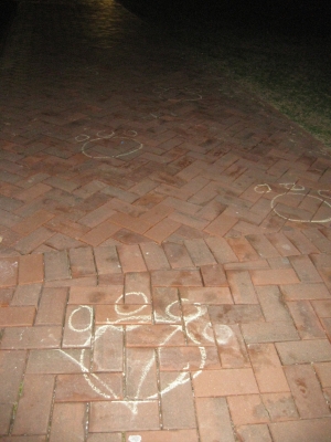 Bear footsteps