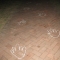 Someone was walking on his hands