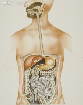 body.jpg
