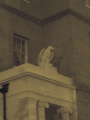 creepy eagle