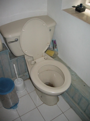 toilet