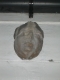 what better above your door than a concrete cast of your face!