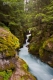mountain_river.jpg