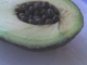 aguacate.JPG