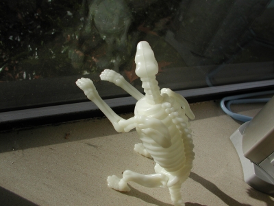 why yes Mr. Reflection I am a sexy beast