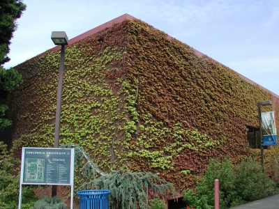 library library