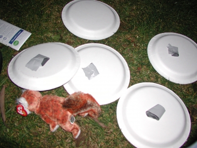 paper plates = awesome decorations