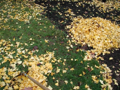 different nations forming