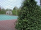 it even spread to the tennis courts it even spread to the tennis courts