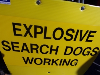 Explosive Dog action!