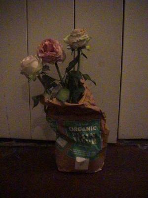 Flour and Flower