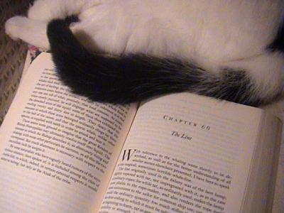 Tail and Tale