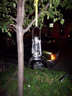100_0081.JPG