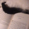 Tail and Tale