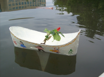 Success!  The plant is going where no plant has gone before! Success!  The plant is going where no plant has gone before!
