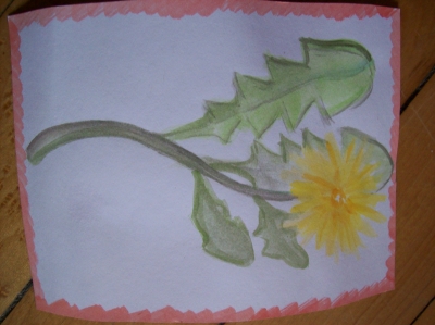 dandelion.jpg