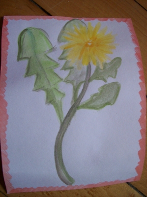 dandelion.jpg