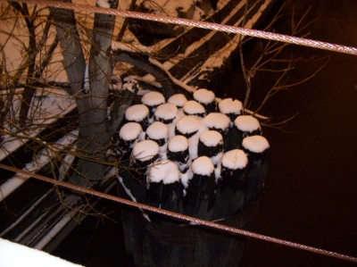 Snowlogged logs Snowlogged logs