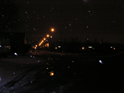 Team ShinyHappySleepy--Cherry and Hickory