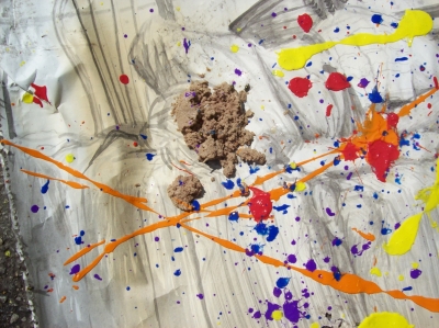 Cat food+paint+flies=living art!