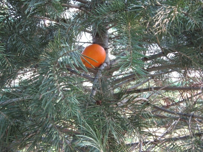 Reminds me of Christmas.