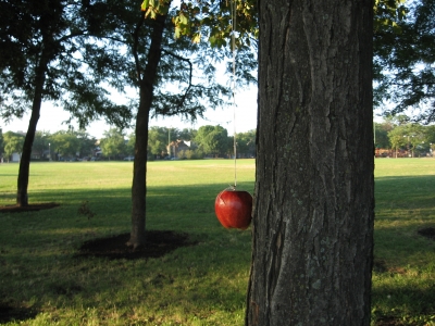 Calling William Tell.