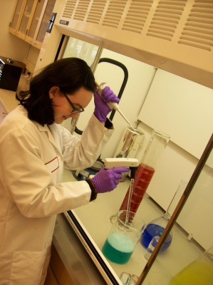 The final ingredients