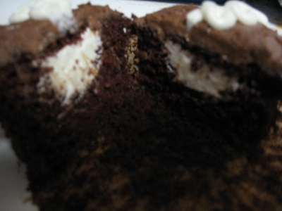A blurry cross-section