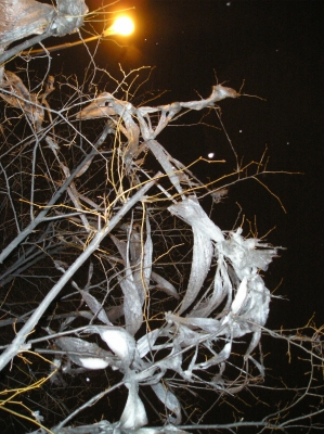 Team ShinyHappySleepy--Wild Card 4