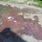 The aftermath.  It looks like we slaughtered an army of Rainbow Brights!