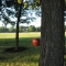 Calling William Tell. Calling William Tell.
