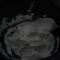 I replaced the cupcake guts with vanilla custard. I replaced the cupcake guts with vanilla custard.